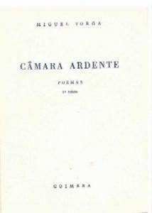 camaraArdente