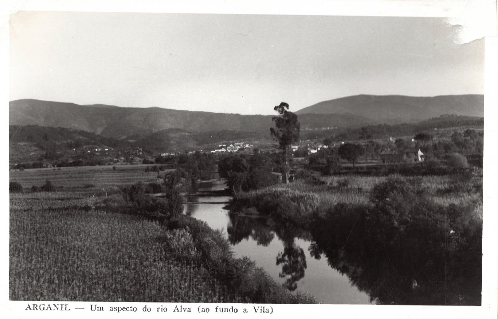 Campo Milho Beira Alva Campo Milho Beira Alva